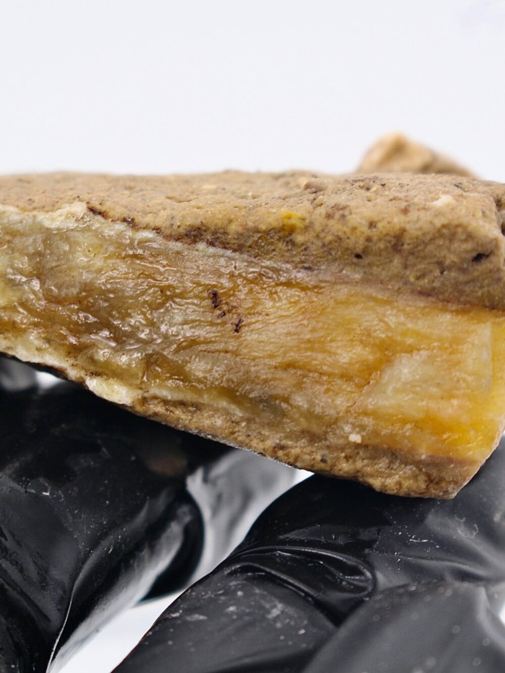 Virgin Valley Opal Petrified Wood Log Limb Cast Raw Rough Specimen Nevada 38.5g